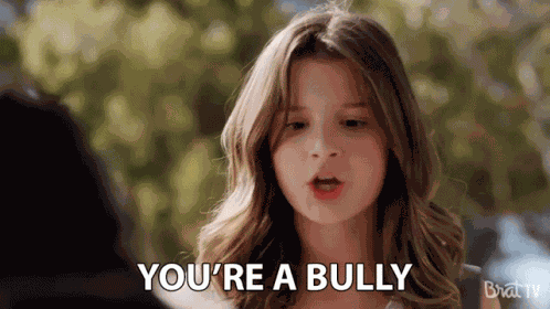 Youre A Bully Hate You GIF