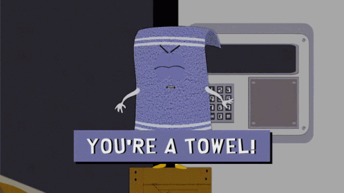 Youre A Towel Towelie GIF