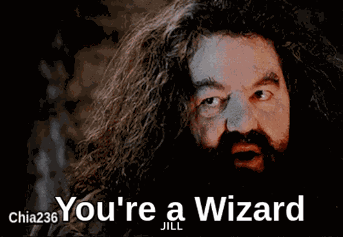 Youre A Wizard Hagrid GIF