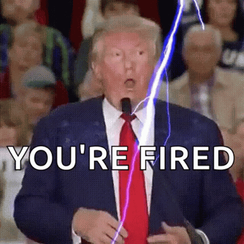 Youre Fired Donald Trump GIF