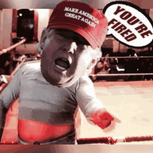 Youre Fired Donald Trump GIF