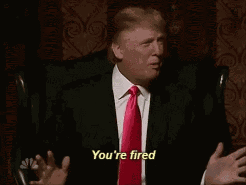 Youre Fired Trump GIF