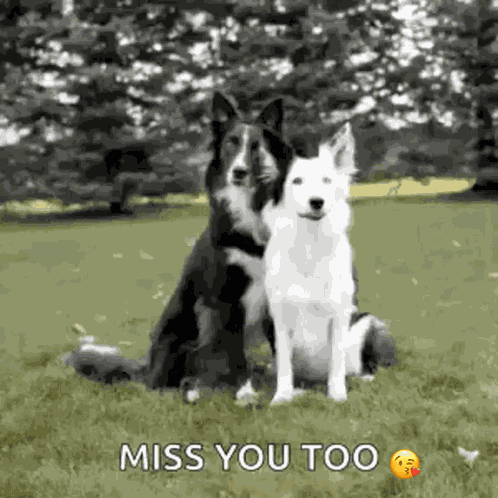 Youre So Sweet Miss You Too GIF