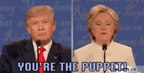 Youre The Puppet GIF