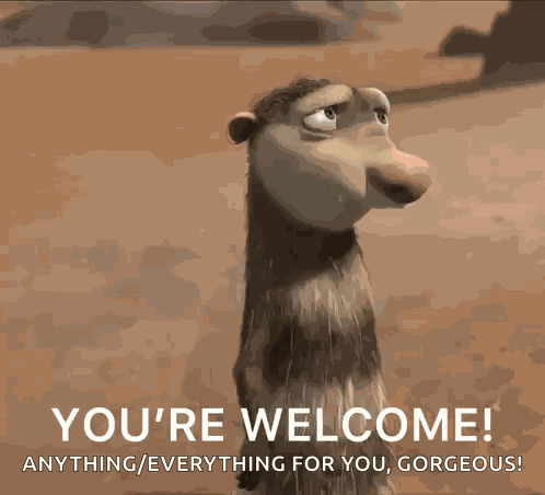 You'Re Welcome GIF