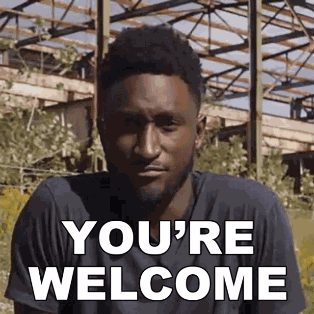 Youre Welcome Marques Brownlee GIF