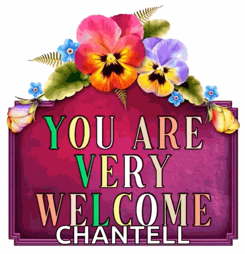 Youwelcome You Welcome GIF