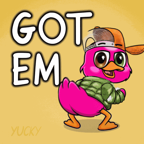 Yuckyducks Cartoon GIF
