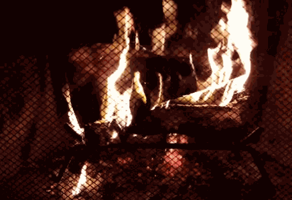 Yuletide Log GIF