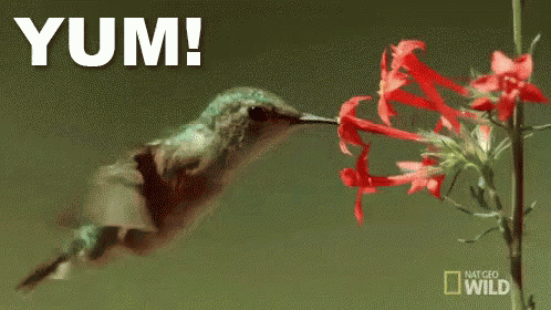 Yum! GIF