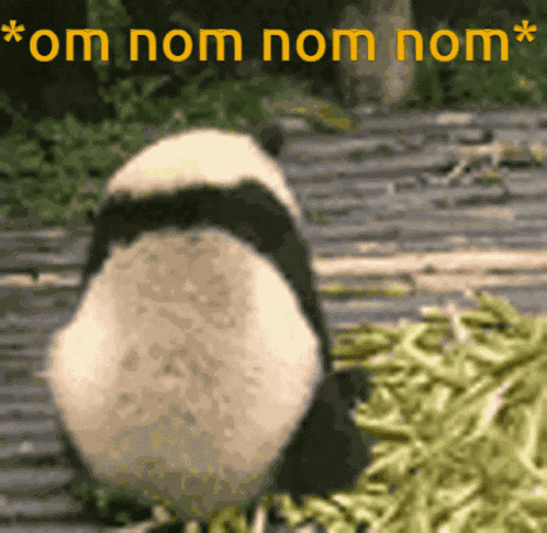 Yummy Hungry GIF