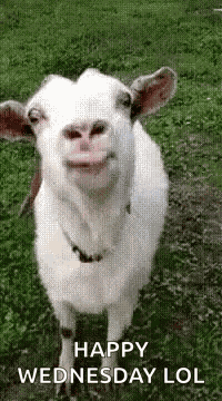 Yummy So GIF