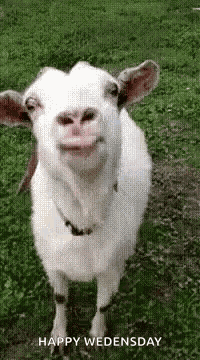 Yummy So GIF