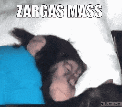 Zargas Zargassj GIF