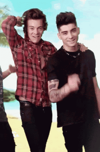 Zayn Malik Harry Styles GIF