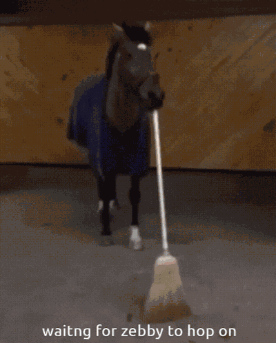 Zebby Zebbycorn GIF