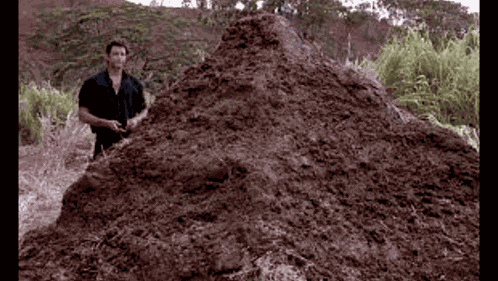 Zedou GIF