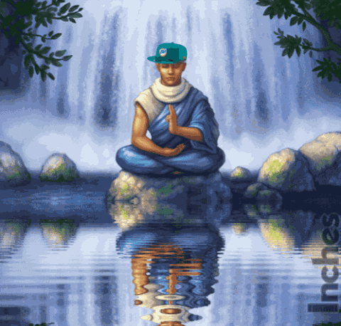 Zen Miami Dolphins GIF