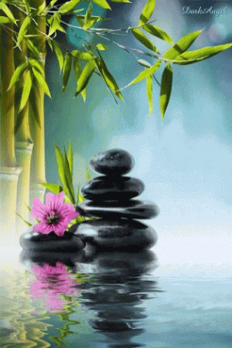 Zen Rocks GIF