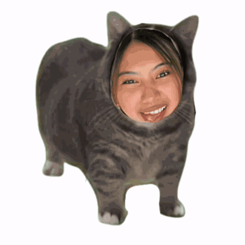 Zenithhh Zen Cat GIF
