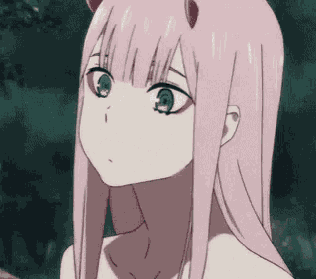 Zero Two Darling In The Franxx GIF