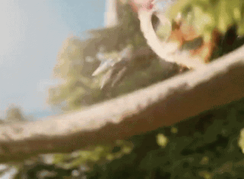 Ziggs Ziggs League Of Legends GIF
