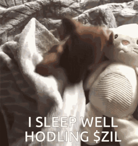 Zil Zilliqa GIF