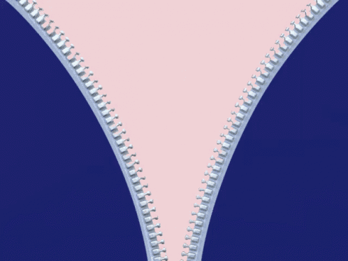 Zipper Zipper Up GIF