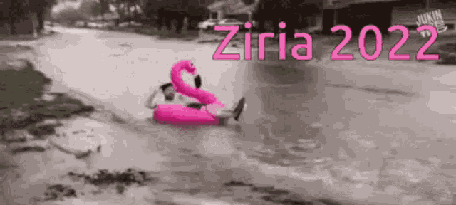 Ziri GIF