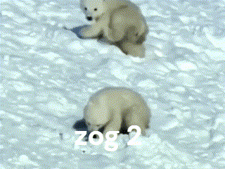 Zog2 Zog 2 GIF