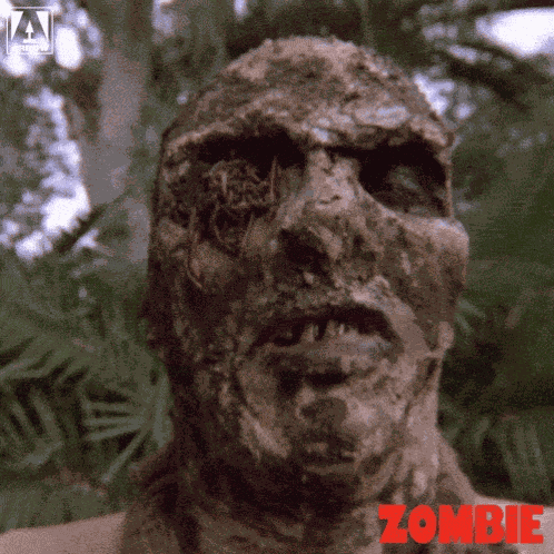 Zombie Flesh Eaters Lucio Fulci GIF