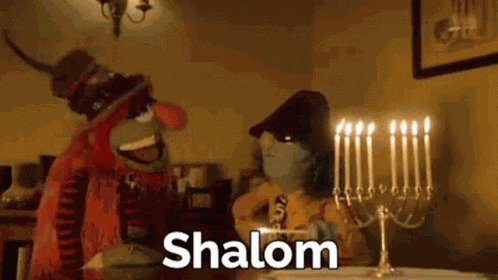 Zoot Shalom GIF