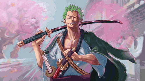 Zoro Meme