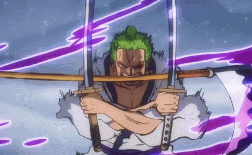Zoro One Piece GIF