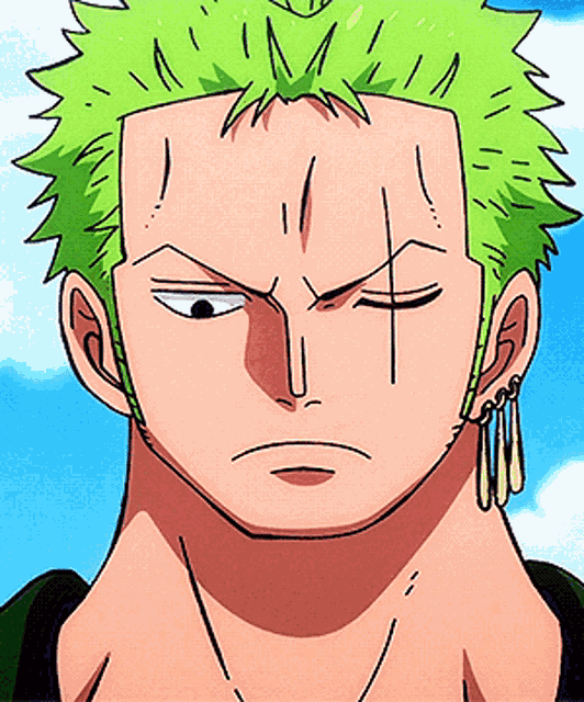 Zoro Roronoa GIF