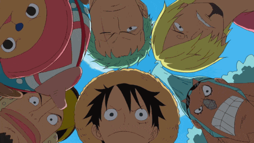 Zoro Roronoa Zoro GIF