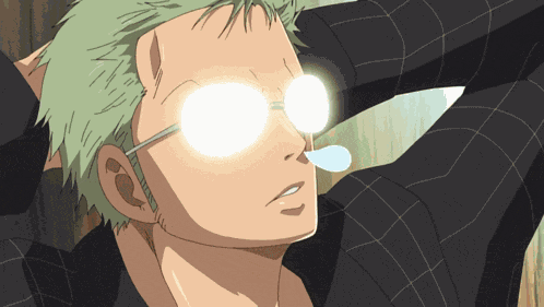 Zoro Roronoa Zoro GIF