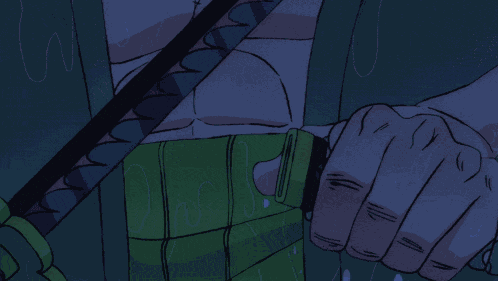 Zoro Roronoa Zoro GIF