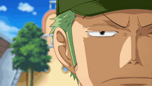Zoro Roronoa Zoro GIF