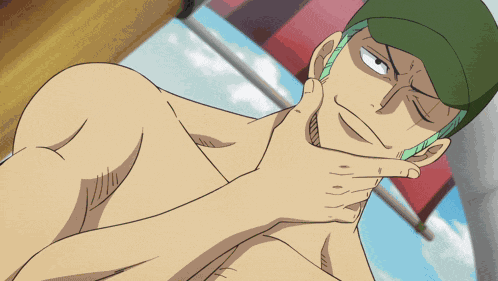 Zoro Roronoa Zoro GIF