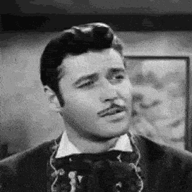 Zoro Zorro GIF