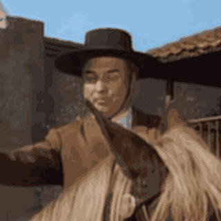 Zorro Bernardo GIF