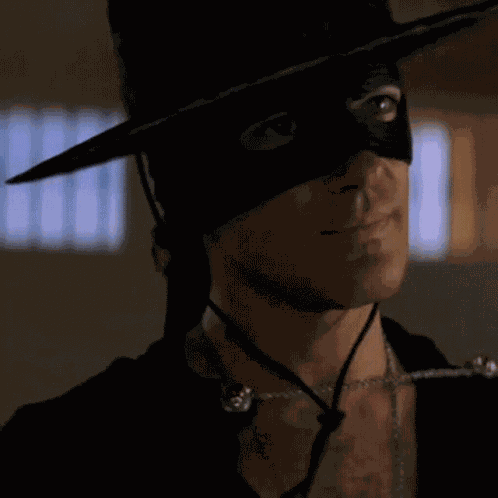 Zorro Handsome GIF