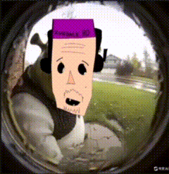 Zweback Shrekback GIF